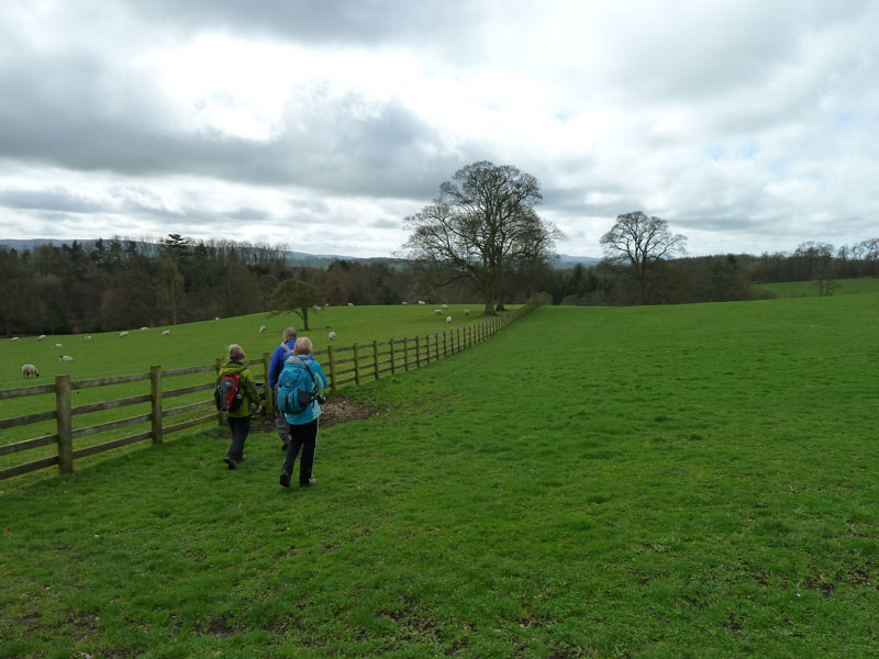 Field Walkers